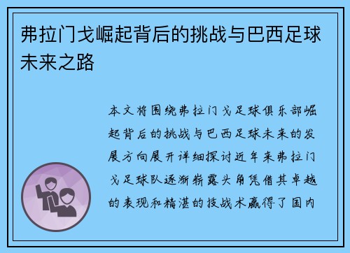 弗拉门戈崛起背后的挑战与巴西足球未来之路
