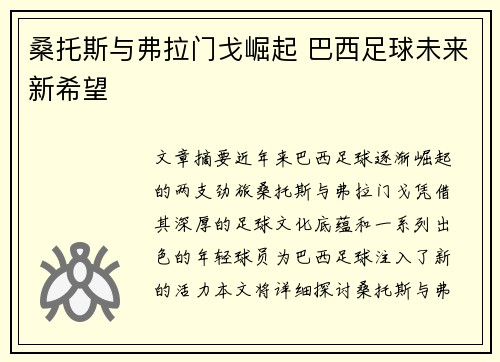 桑托斯与弗拉门戈崛起 巴西足球未来新希望